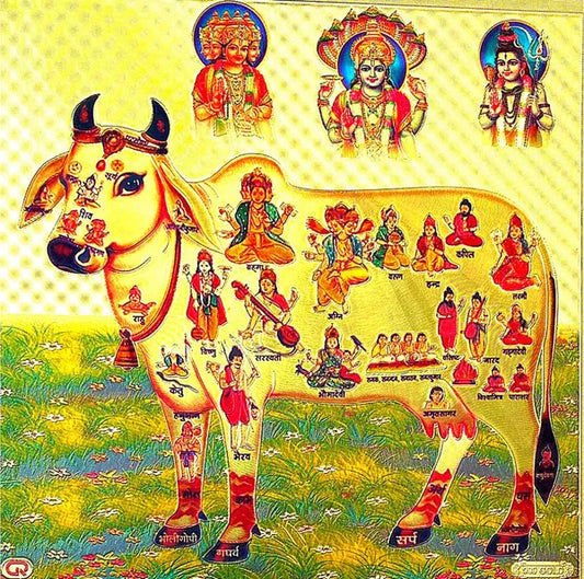 Photo & Frame Kamdhenu Cow With Brahma Vishni Mahesh/Siva | Gou Mata