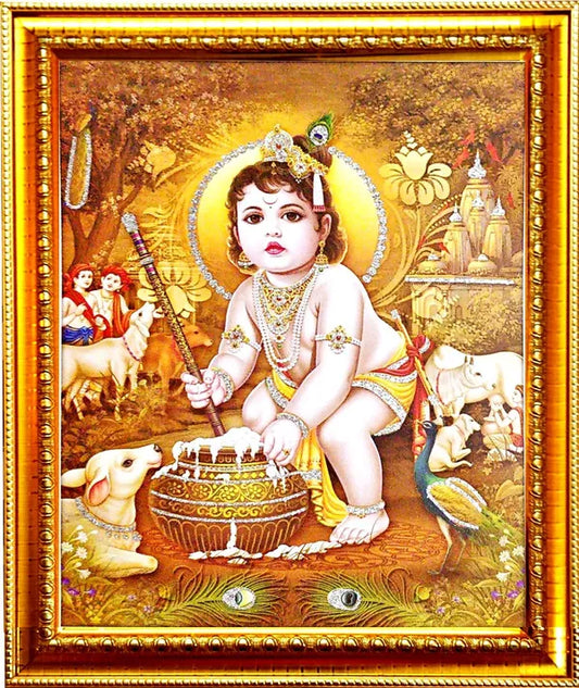 Photo & Frame Krishna Ji