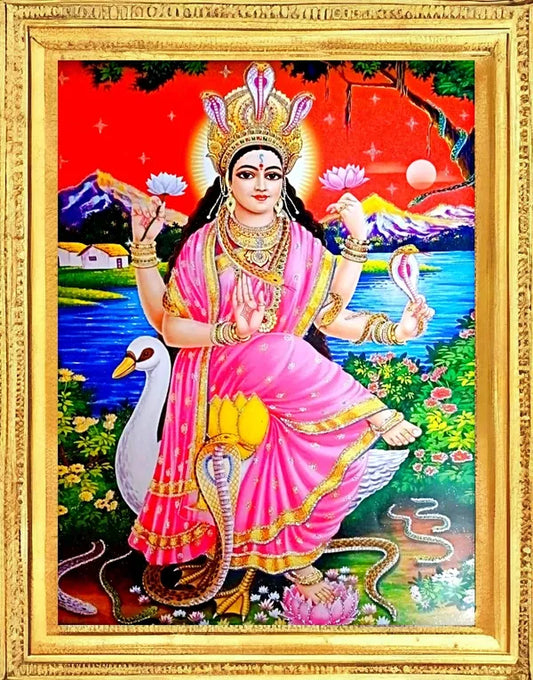 SUNINOW Mansa devi Religious Frame