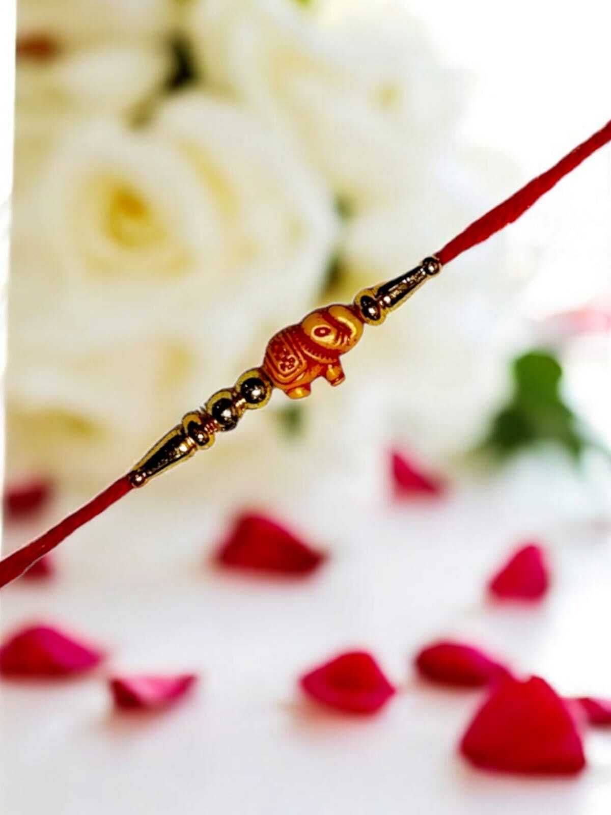 SUNINOW Designer PA-12R-01 Mauli Thread Rakhi Set (12)